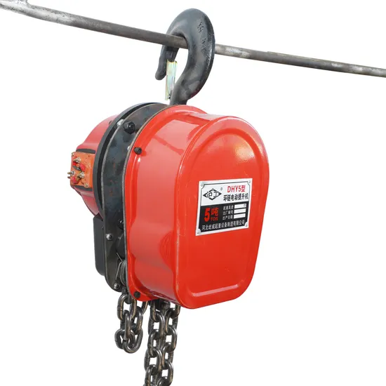 Dhs Electric Chain Hoist 