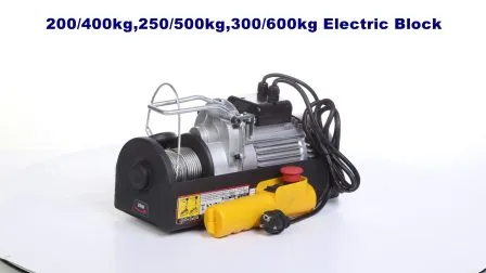 Electric Wire Rope Hoist with CE GS RoHS Approval, Lifting up and Down 